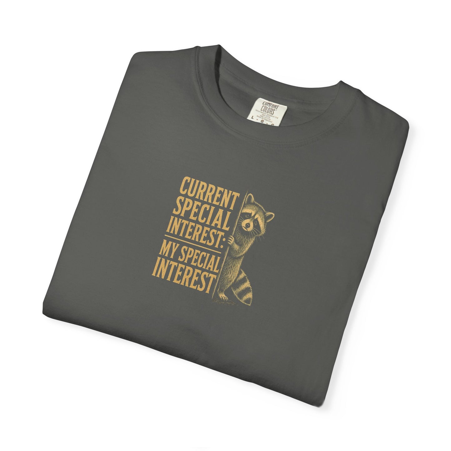 "Current Special Interest: My Special Interest" Raccoon Graphic Tee