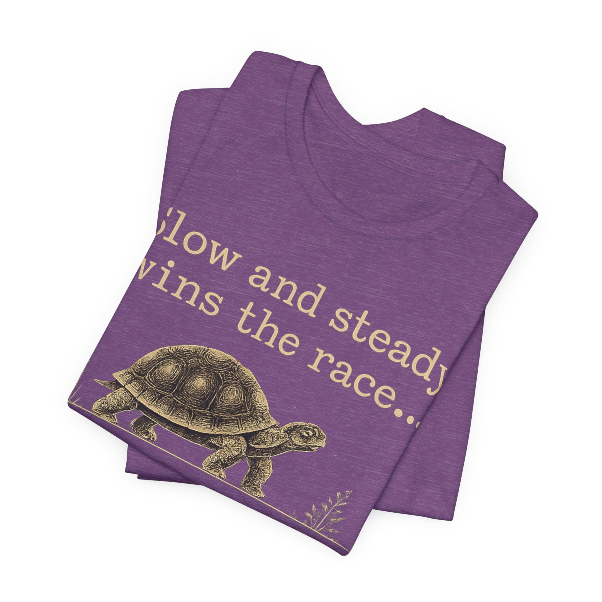 Slow and Steady Wins the Race T-Shirt — Detail-Oriented Turtle Graphic Tee image 38