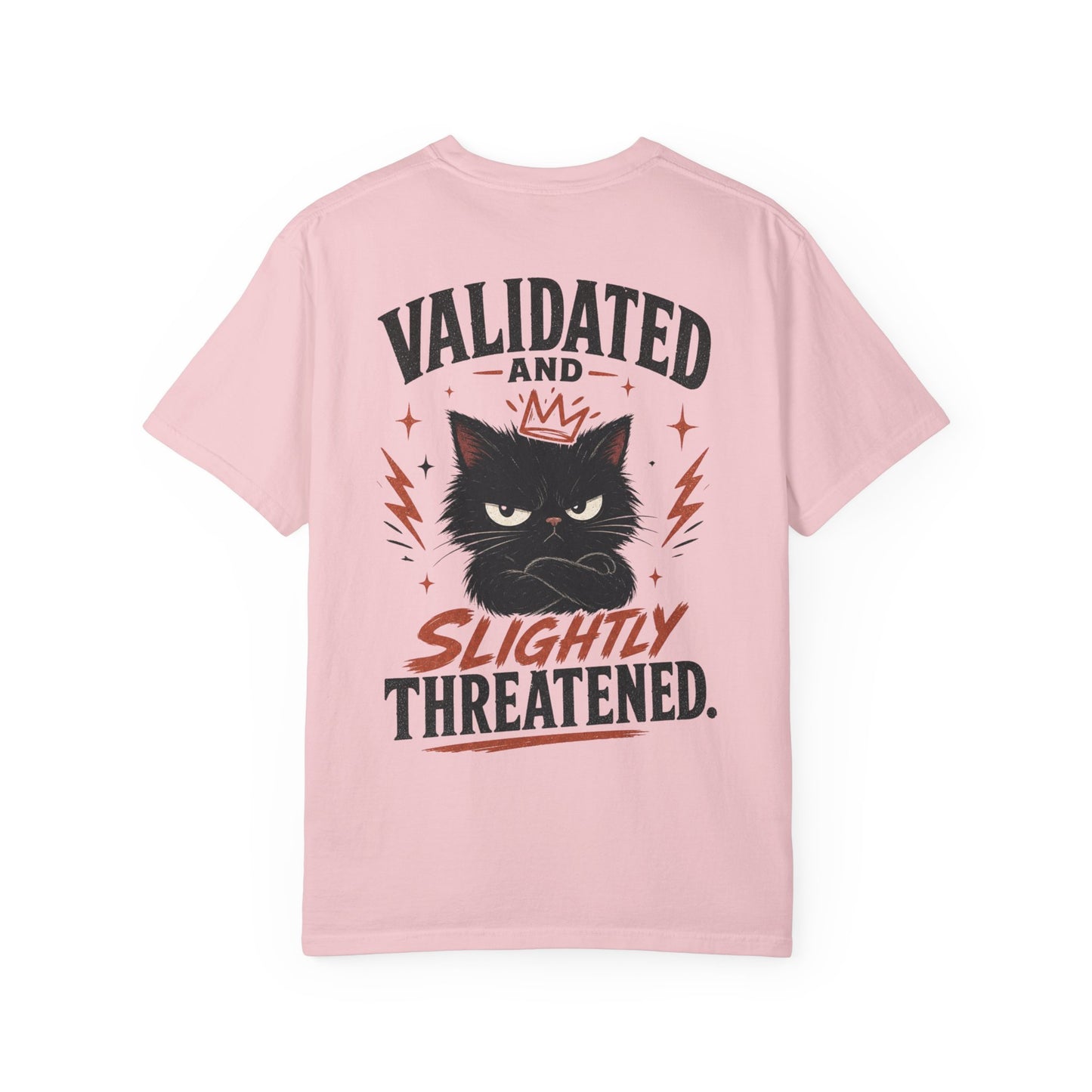 "Validated and Slightly Threatened" Cat Graphic T-Shirt
