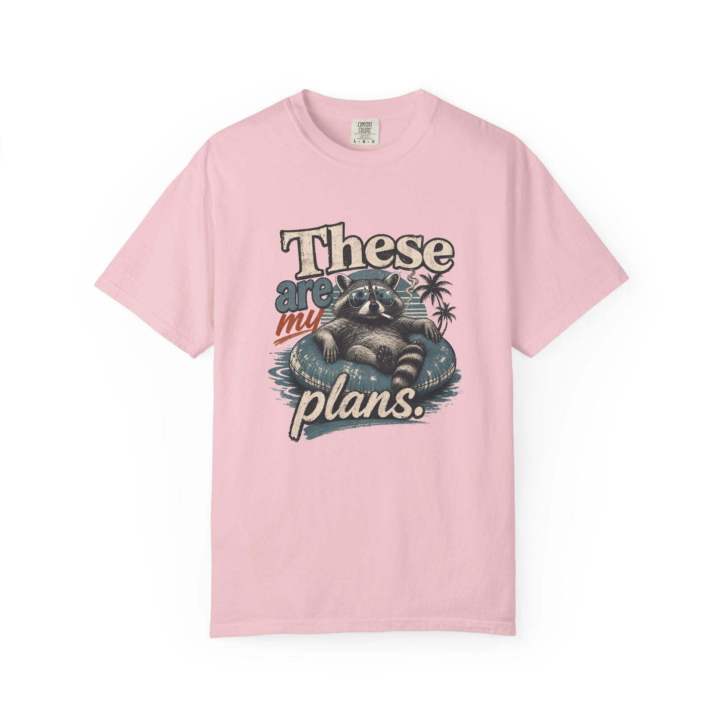 These Are My Plans T-Shirt — Neurodivergent Raccoon Beach Vibes Graphic Tee