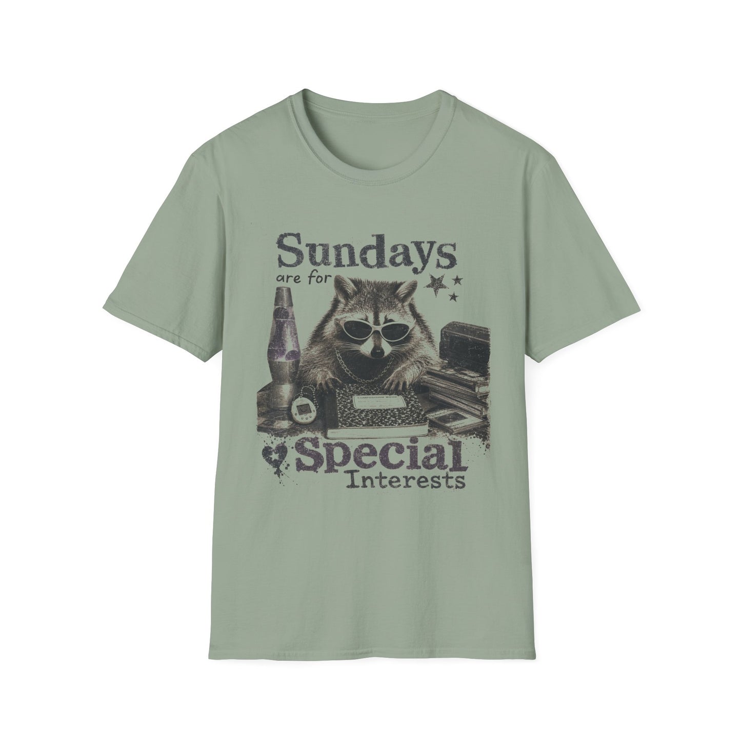 Sundays Are For Special Interests T-Shirt — Relaxed Raccoon Graphic Tee