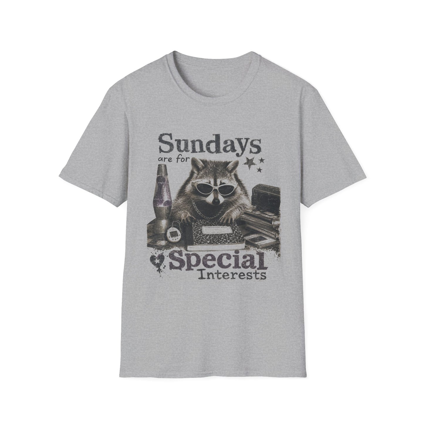 Sundays Are For Special Interests T-Shirt — Relaxed Raccoon Graphic Tee