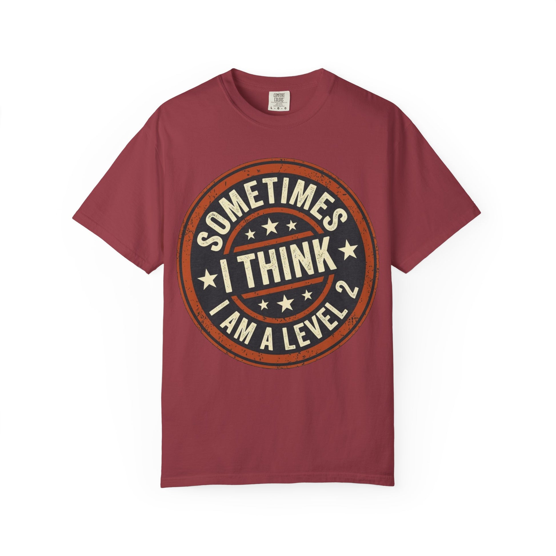 Sometimes I think I Am A Level 2 T-Shirt - Funny Humorous -Spectrum Scale image