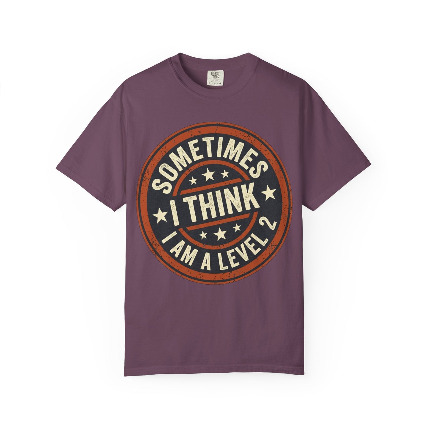 Sometimes I think I Am A Level 2 T-Shirt - Funny Humorous -Spectrum Scale image