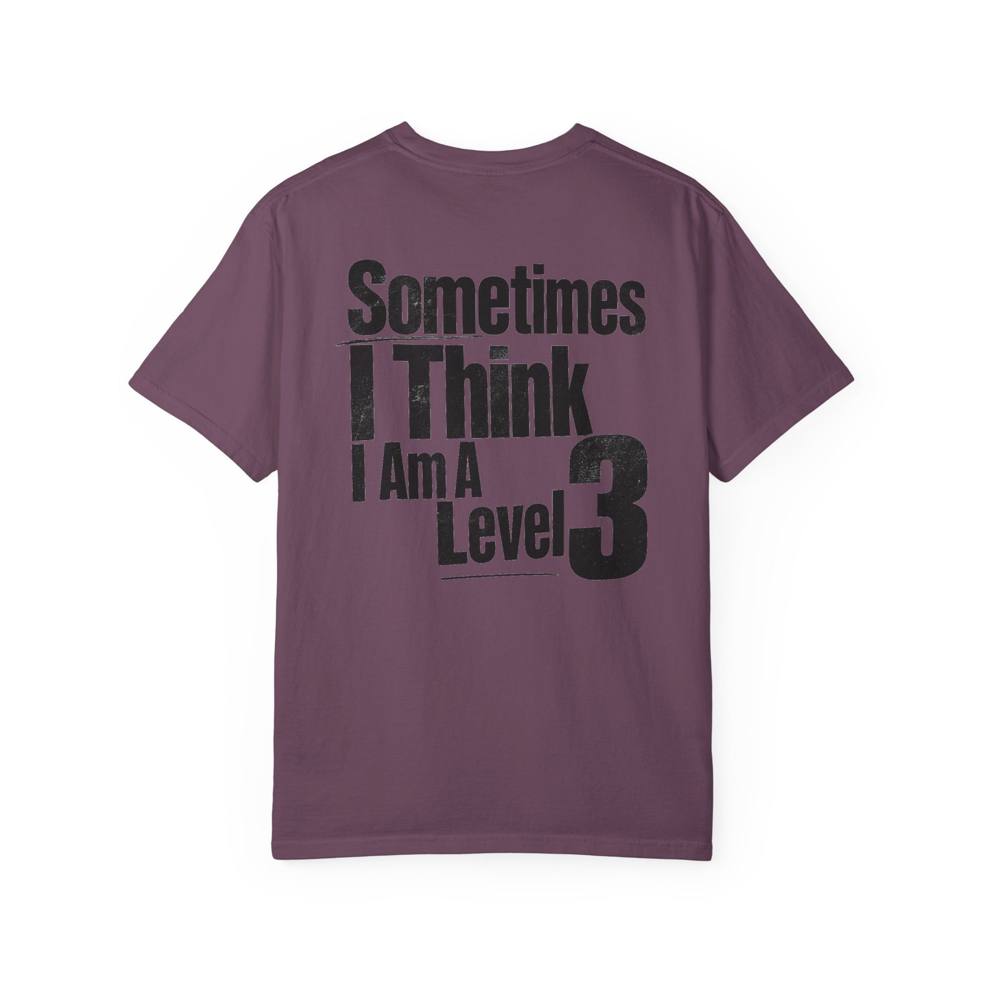 Level 3 Funny Graphic T-Shirt — "Sometimes I Think I Am A Level 3" - ASD Levels - PRINT IS ON BACK image 35