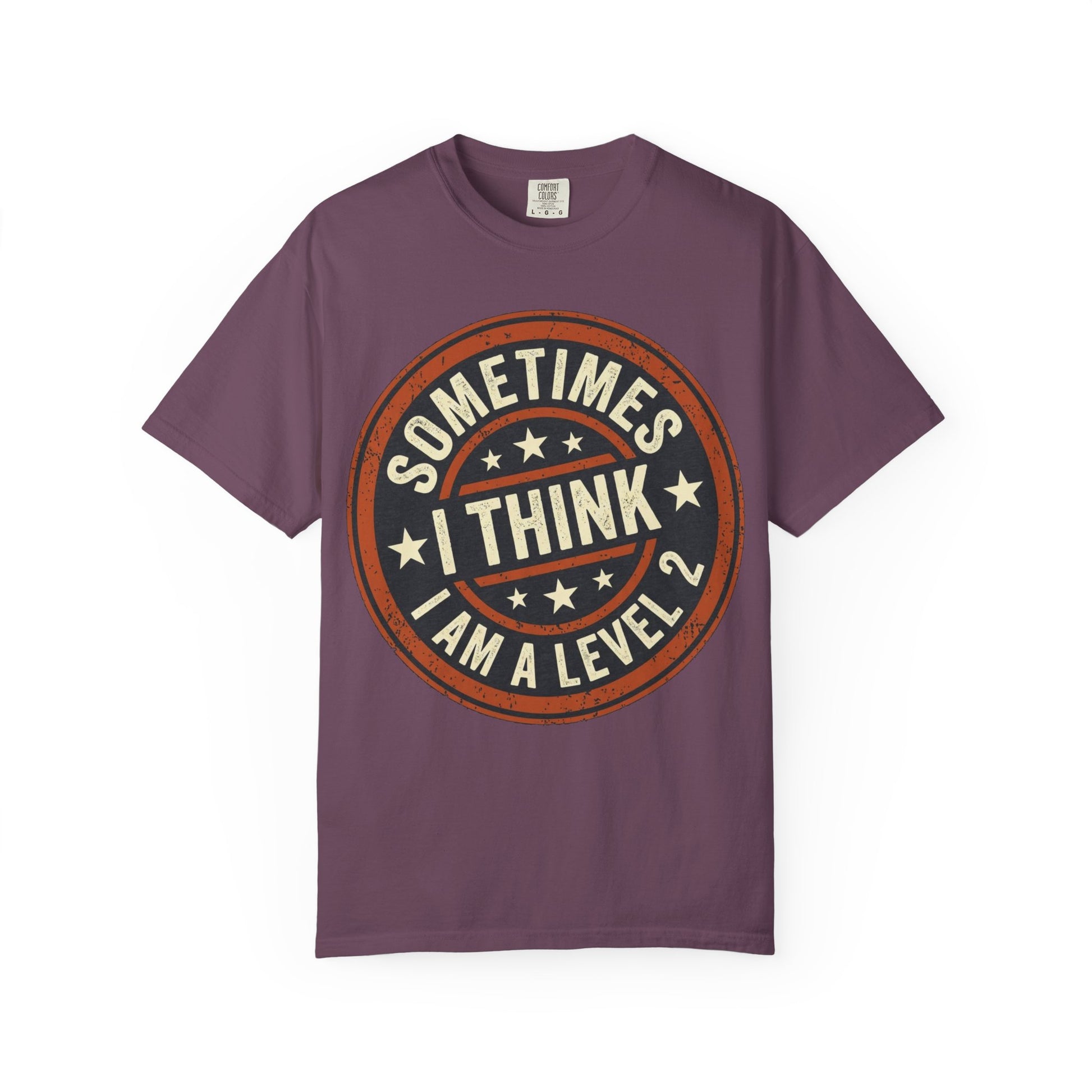 Sometimes I think I Am A Level 2 T-Shirt - Funny Humorous -Spectrum Scale image